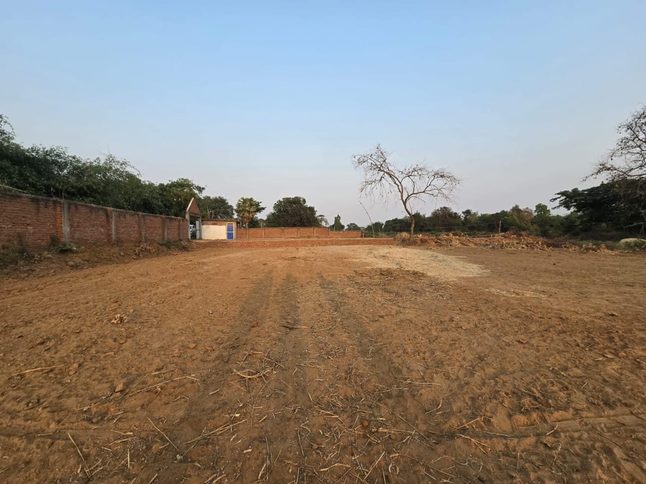 Development View